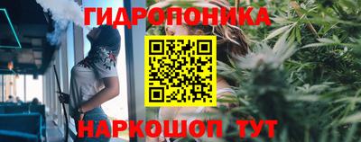 стаф Будённовск