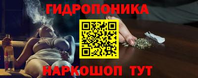 стаф Будённовск
