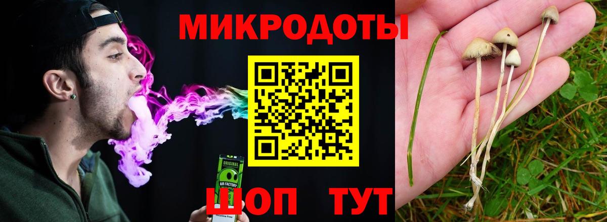 Псилоцибиновые грибы мицелий Балахна